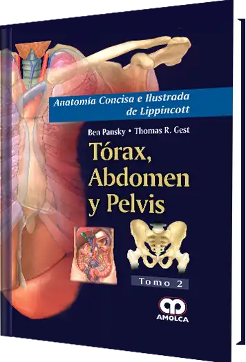 Anatomía Concisa e Ilustrada de Lippincott  Tórax, Abdomen y Pelvis Tomo 2